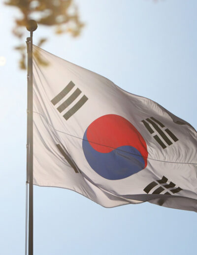 The flag of the Republic of Korea